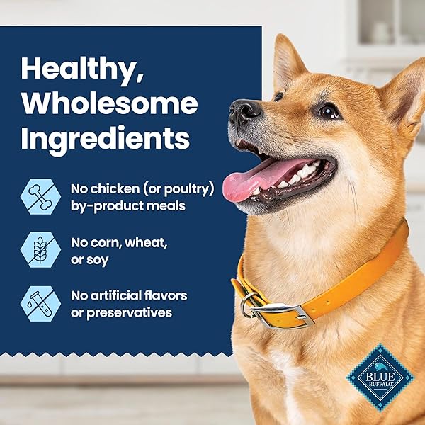 BLUE BUFFALO DENTAL CHEWS LARGE NATURAL DOG TREATS, CHICKEN & SPEARMINT 11-OZ BAG (7 COUNT)