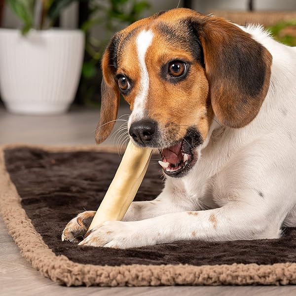 PET FACTORY 100% MADE IN USA BEEFHIDE 5″ CHIP ROLLS DOG CHEW TREATS – NATURAL FLAVOR, 18 COUNT/1 PACK
