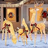 Hourleey 3-Piece Pre-Lit Reindeer Family Set, 3D