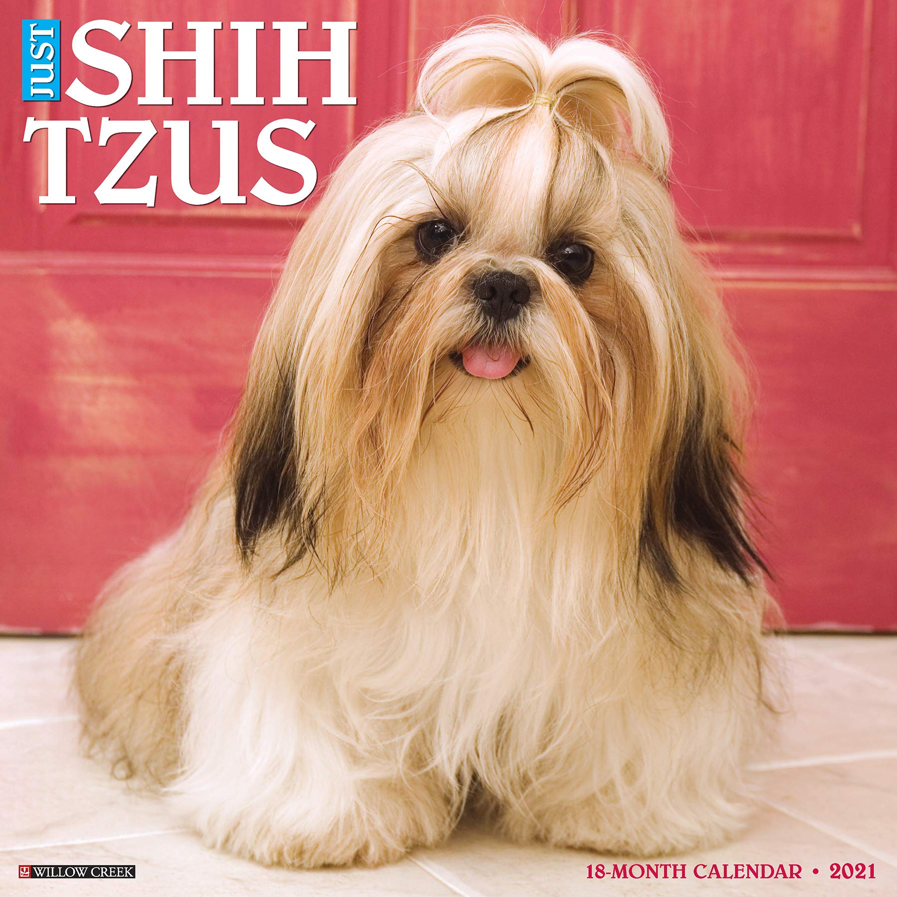What Did Shih Tzus Look Like 100 Years Ago Shih Tzu Dog