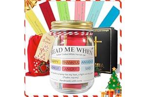 HMMIA Read Me When Bible Verses Jar - Scripture Prayer Cards for Emotions & Feelings, Hope Jar with Inspirational Verses, Christian Gifts for Women Men, Christmas Edition with Pinecone Decor