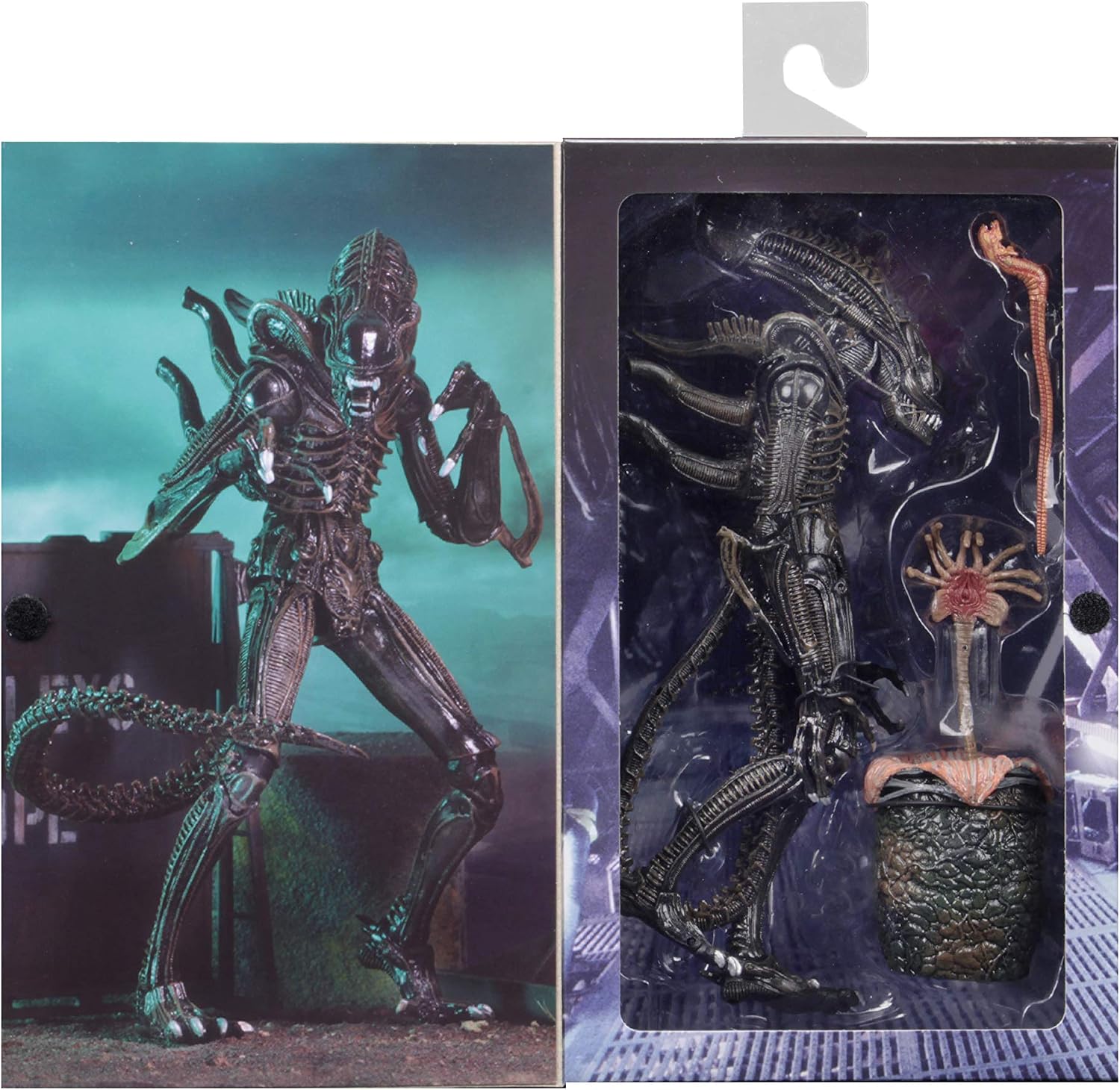 NECA Alien Brown Ultimate Warrior 1986 23cm Scale Action Figure Aliens, Color (NEC0NC51683, Marrón, 6 inches - Image 5