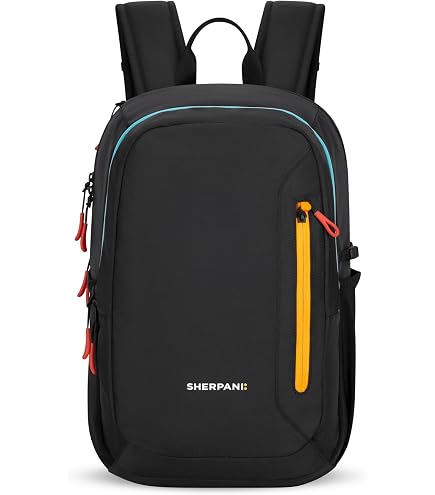 Amazon.com: Sherpani Camden, Convertible Backpack, 3 in 1 Tote Bag