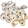 Oyster Shells for Crafts, 4"- 5" Large Oyster Shells, 20PCS Bulk Bag for DIY Crafting, Decoupage, Christmas Ornaments, Wreaths, Weddings, Beach Decor Arts & Crafts. Farmed in USA
