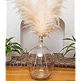 Decor Unicorn 21" Extra Large Glass Floor Vase - Tall Glass Vases for Floor Decoration - Clear Floor Vase - Large Glass Floor Vase for Pampas Grass