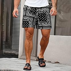 DIOTSR Mens Paisley Casual Shorts Retro Graphic