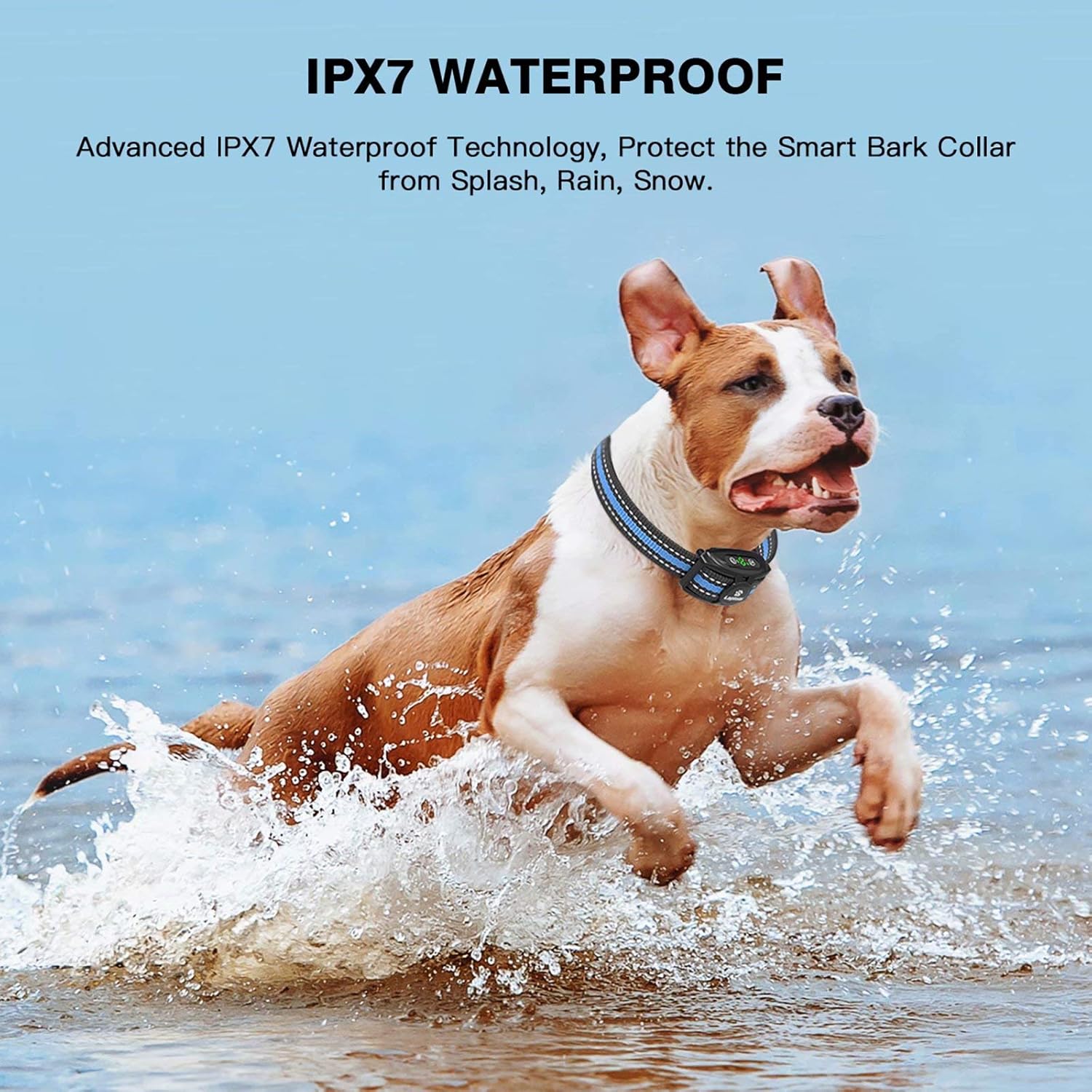 2 Pack Smart Dog Bark Collar - 5 Adjustable Sensitivity/Vibration&Sound/Rechargeable/IPX7 Waterproof - Bark Control Training Collar for Small Medium Large Dog : Pet Supplies