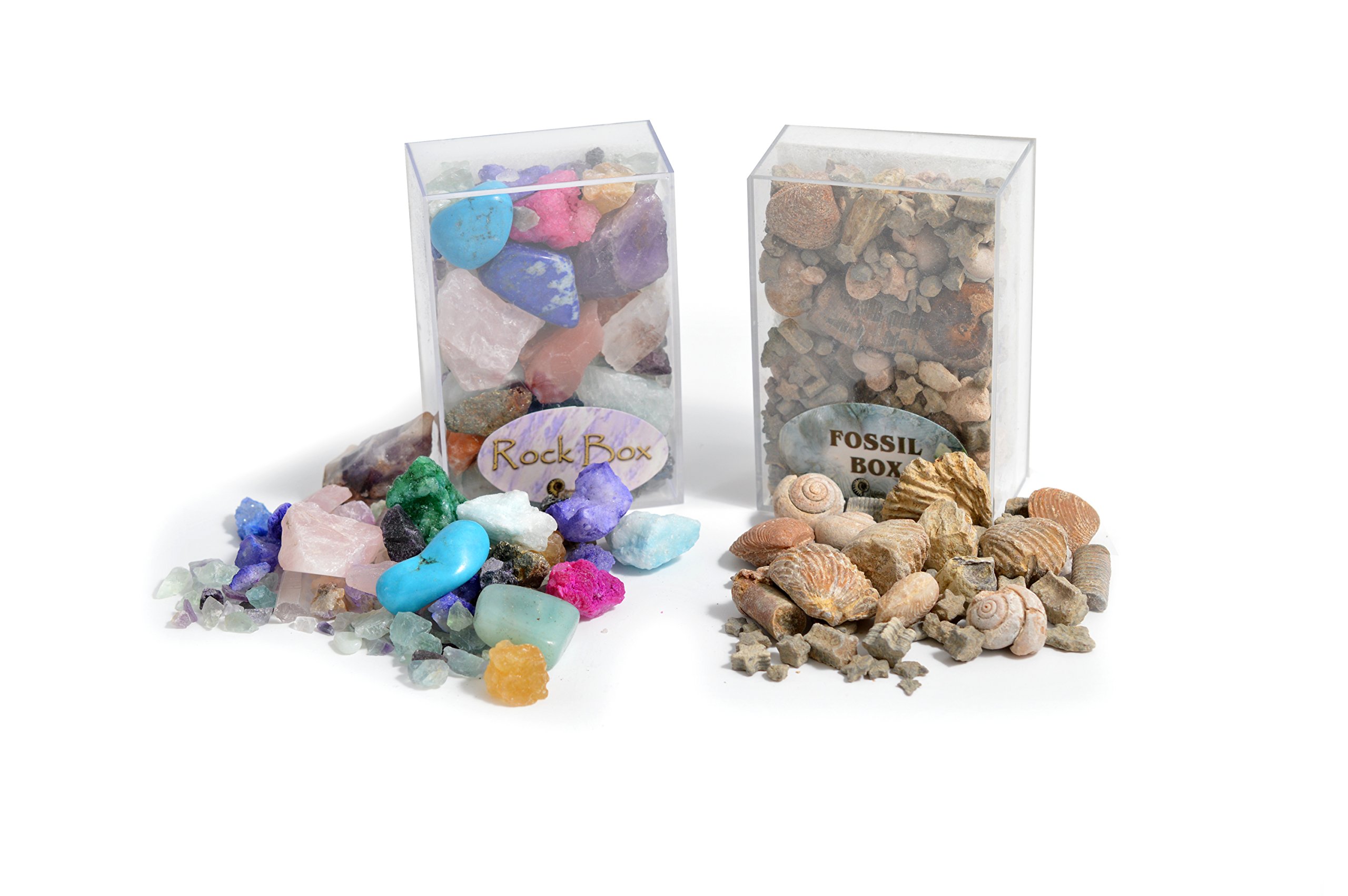 Fossil & Rock Box Set. Set of 2 Boxes!