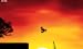 Shadow Biker HD