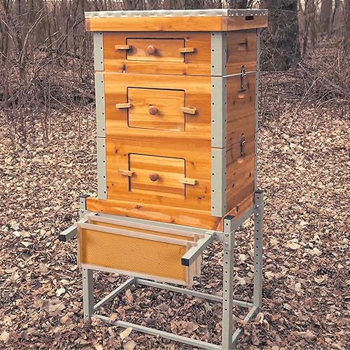 GUTINNEEN Bee Hive with Metal Frame and Stand, 10-Frame Bee Box ...