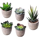 Jelofly Fake Plants Artificial Succulent Plants Assorted Decorative Faux Succulent Potted Fake Cactus Cacti Plants Gray Pots,
