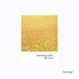 Hemway Holographic Gold Glitter Shaker 130g Microfine Resin Nail Face view 2
