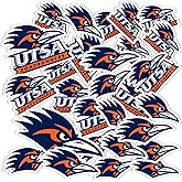 Desert Cactus The University of Texas at San Antonio Sticker Roadrunners Vinyl Decals Laptop Water Bottle Car Scrapbook Sheet T1 (Type 1-1)