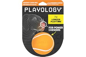 Playology Squeaky Chew Ball for Dogs | Engaging All-Natural Cheddar Cheese Scented Dog Toy for Medium Dogs up to 50lbs | Squeak, Fetch, and Play!