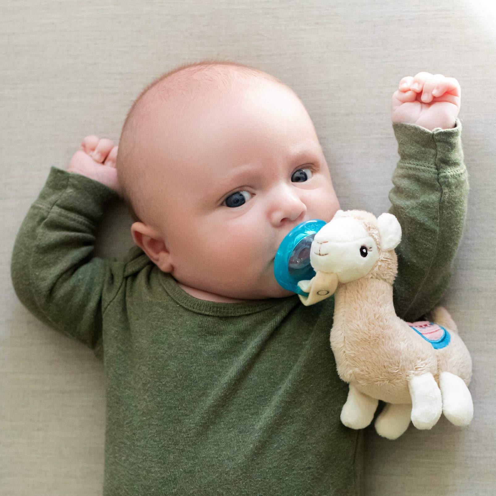 Photo 1 of Nuby Soft Plush Pacifinder with Detachable Silicone Pacifier: 0-6 Months, Llama, Natural Cherry Shape, Multi, one Size