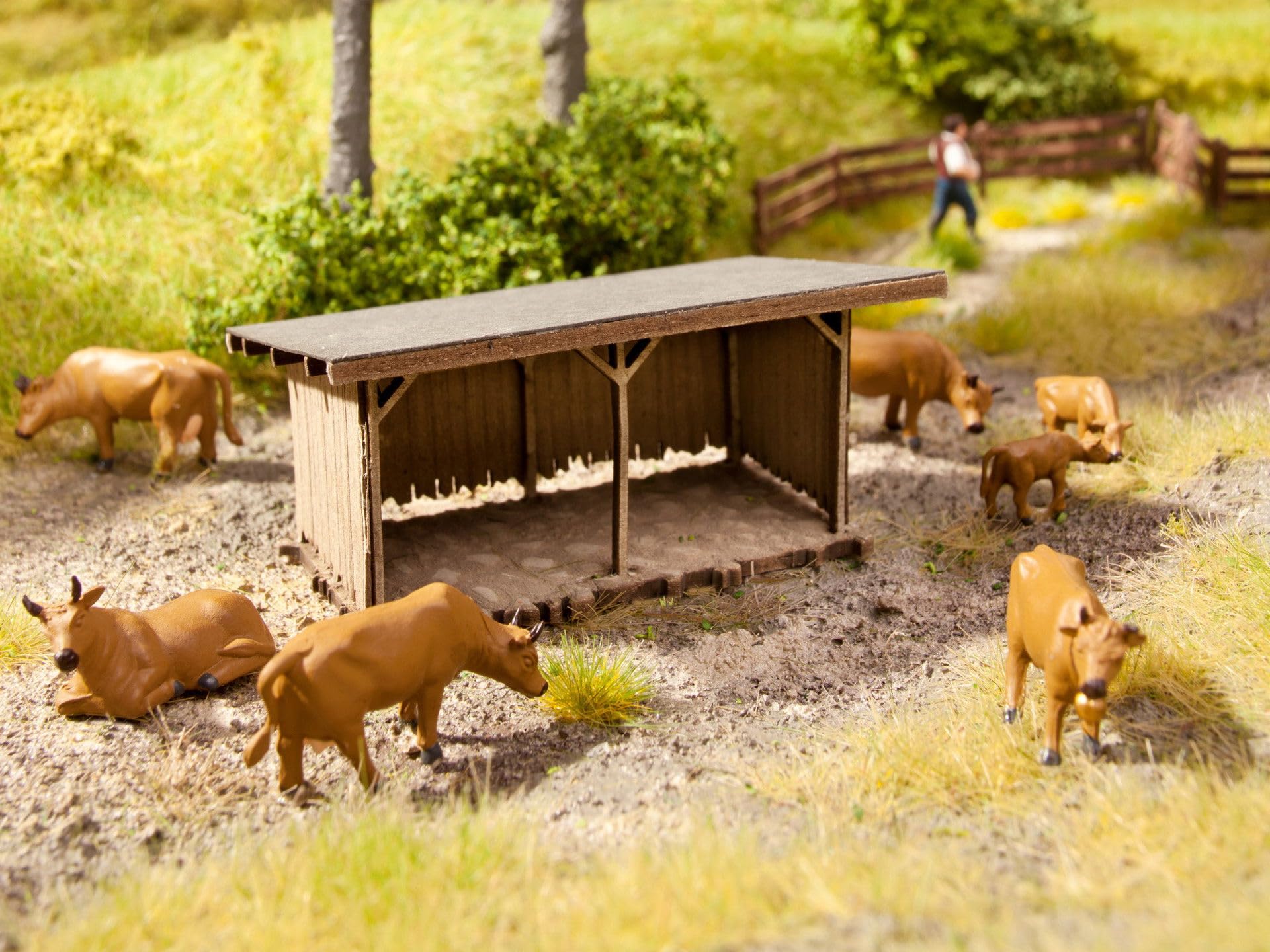 Noch Cattle Shelter