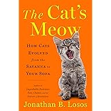 The Cat's Meow: How Cats Evolved from the Savanna to Your Sofa