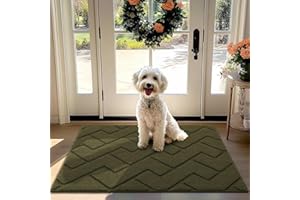 hicorfe Indoor Doormat,Front Back Door Mat Rubber Backing Non Slip Door Mats 32"x40" Absorbent Resist Dirt Entrance Doormat I