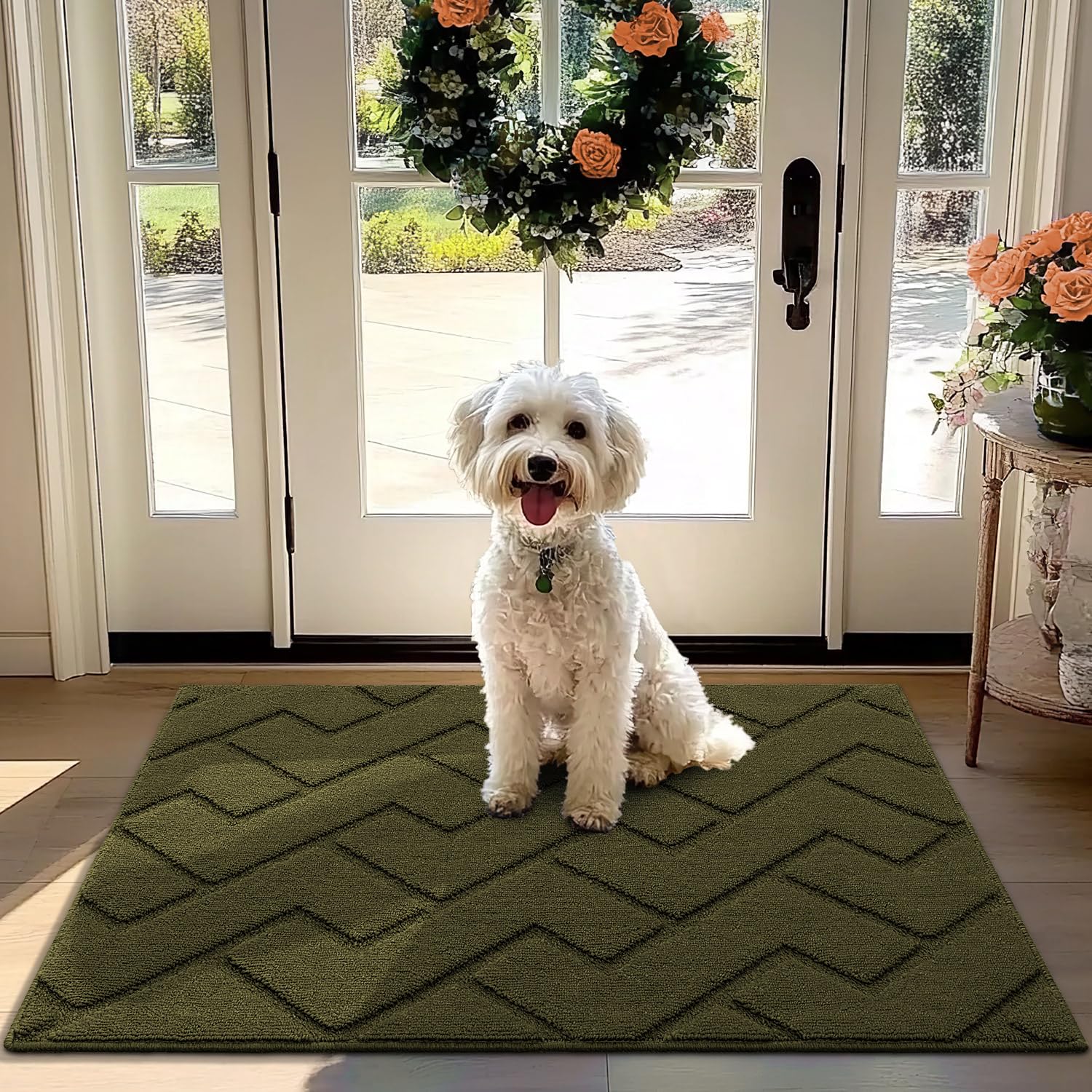Biscpro Door Mat, 80x100cm DoorMat Indoor Washable, Doormat Indoor Dirt Trapper Non-slip,Absorbent Inside Entrance Rug Mat for Entryway,Patio,Garden,Laundry Room,Pets - Oliver Green