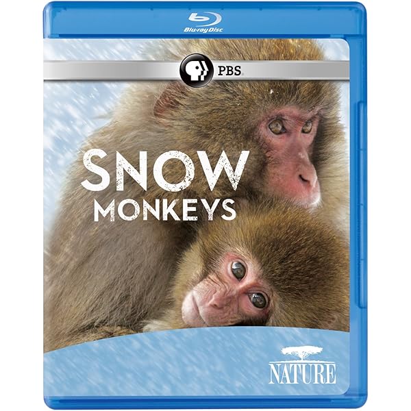 その他 Nature: Extraordinary Animals: Bears &amp; Wolves [Blu-ray] Amazon.com: Nature: Radioactive Wolves [Blu-ray] : ., n/a: Movies & TV