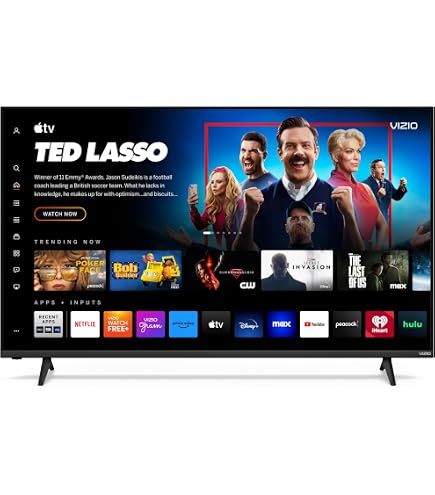 Hauts-parleurs TV VIZIO D55-D2 - Ouverts Mais Jamais Utilisés - Retirés D'un TV écran Fissuré