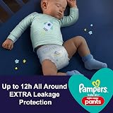 Pampers Baby-Dry Night Nappy Pants Size 4 32 Night Nappies 9-15kg view 2