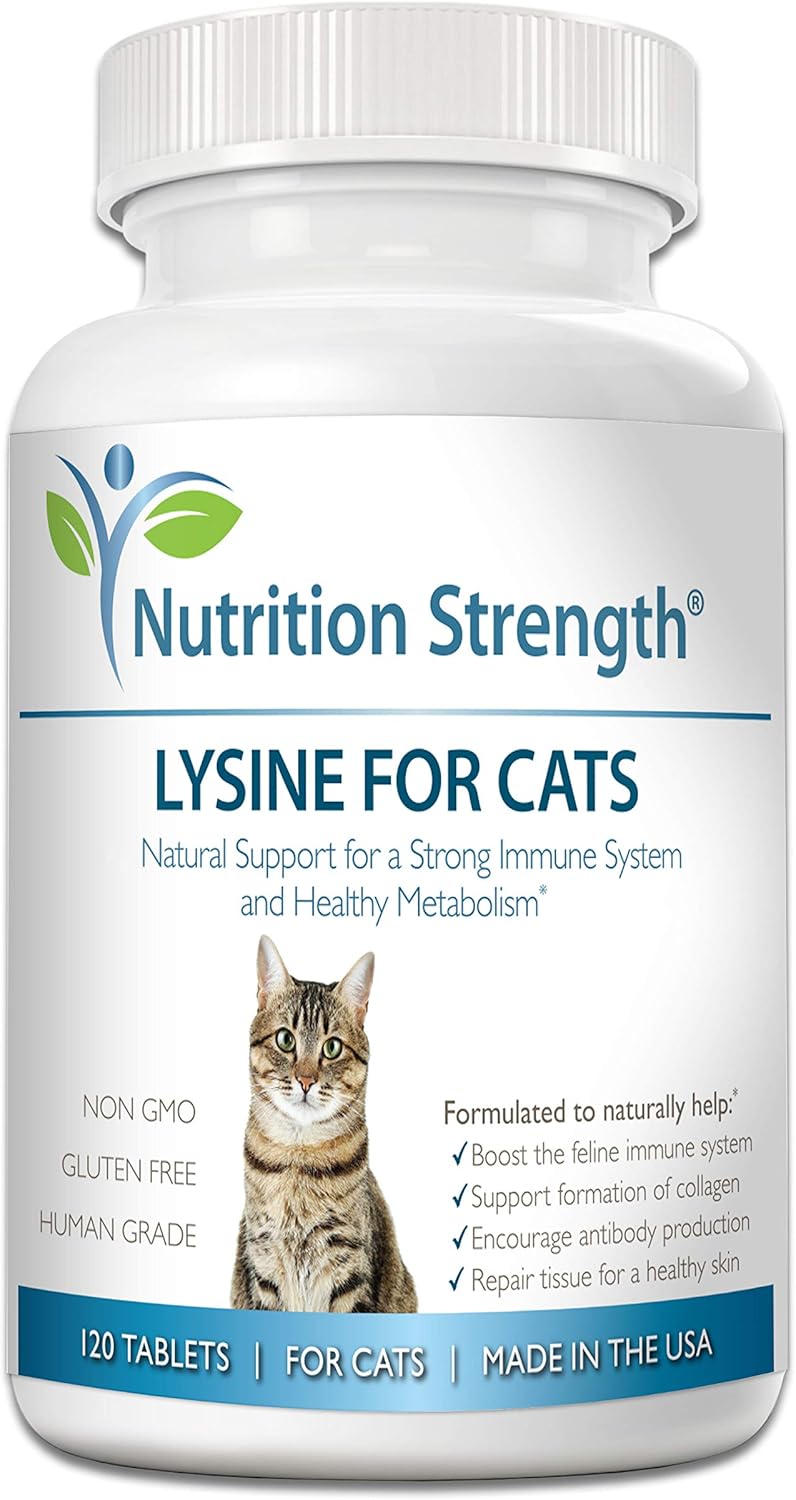 Amazon Com Nutrition Strength Lysine For Cats Help Support The Feline Immune System Promote Respiratory Health Support Collagen Formation Encourage Antibody Production Plus Coq10 120 Chewable Tablets Pet Supplies