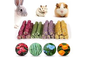 PStarDMoon Rabbit Chew Toys for Teeth, Timothy Grass Carrot Sticks for Guinea Pig Hamster Chinchilla Squirrel Bunny Small Rodent Animals (20 pcs)