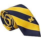 Desert Cactus University of Michigan Neck Tie UM Wolverines 100% Polyester Necktie with Logo, Officially Licensed (Style A)