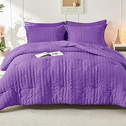 HYMOKEGE Dark Purple Full Size Comforter Sets