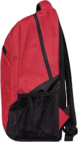 FOCO Liverpool F.C. Ultra Backpack view 3