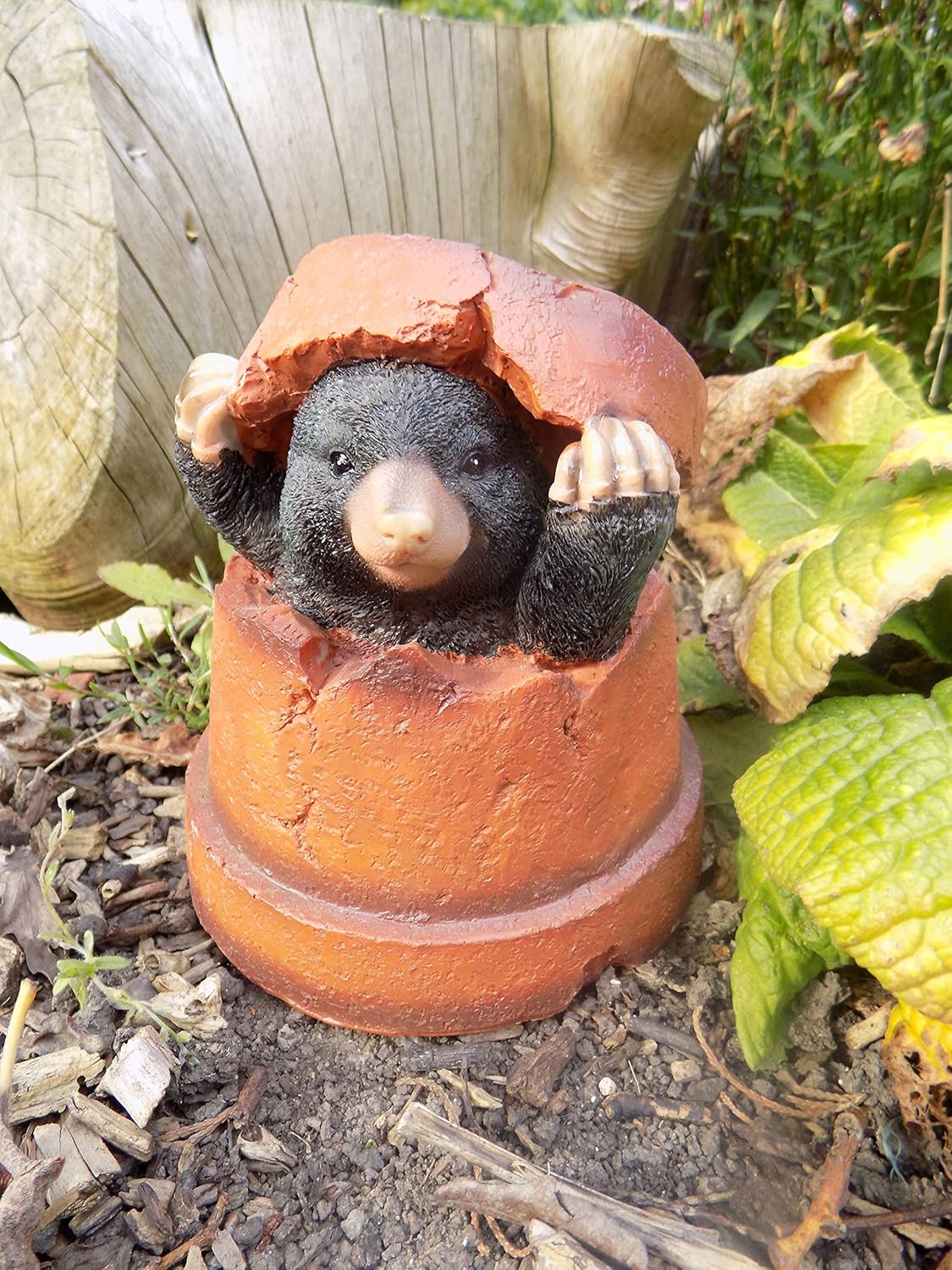 UKGS Mole in Flower Pot Garden Ornament Resin Amazon.co.uk Garden