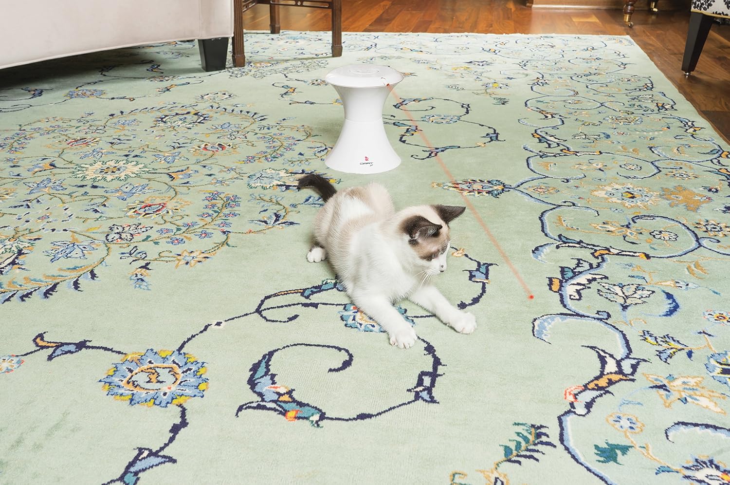 dart duo laser cat toy