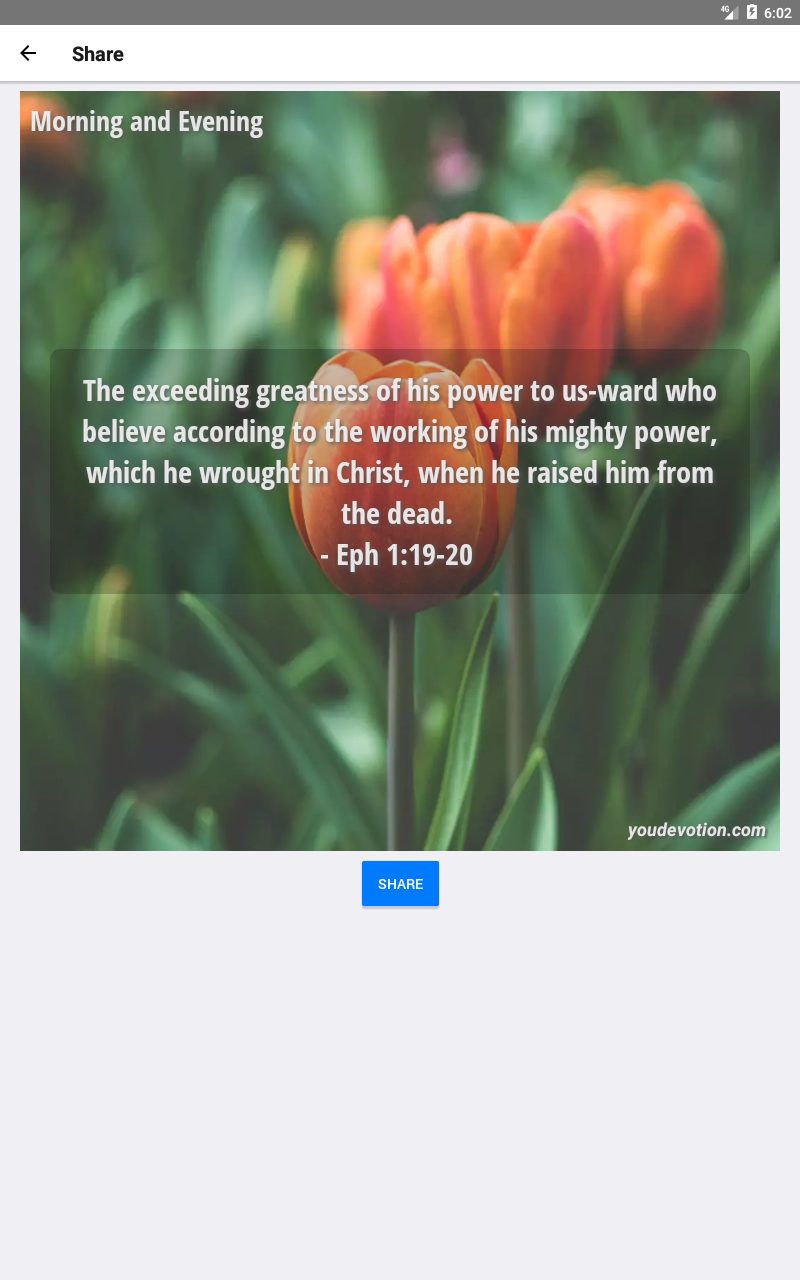 Daily Devotional Collection - Thumbnail 7