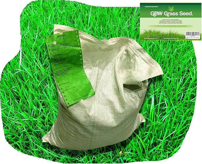 1kg Semi di erba da giardino di Alta Qualità per 35mq Crescita rapida e resistente prato