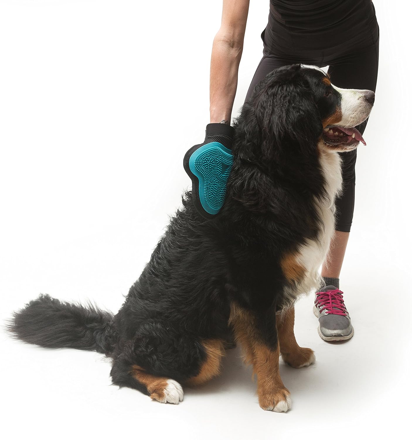 messy mutts mobile grooming