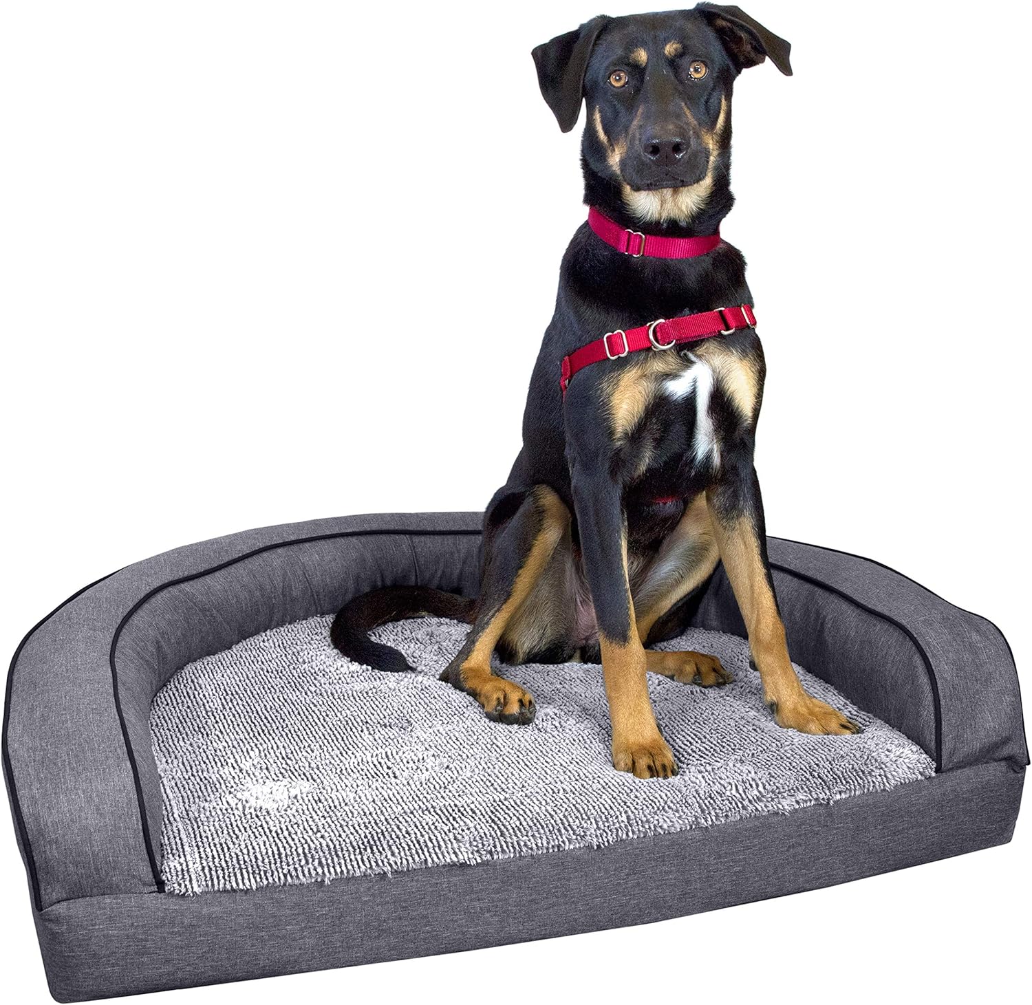 SportPet Designs Luxury Sofa Lounge Pet Bed, Blanket Reversible, Water-Resistant Liner, Top Memory Foam - Large, Gray (CM-10055-CS01) : Pet Supplies