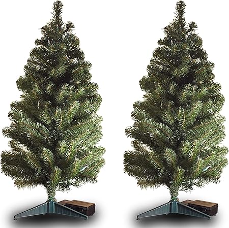 Amazon Com Set Of 2 2 Ft Tall Cordless Battery Powered Pre