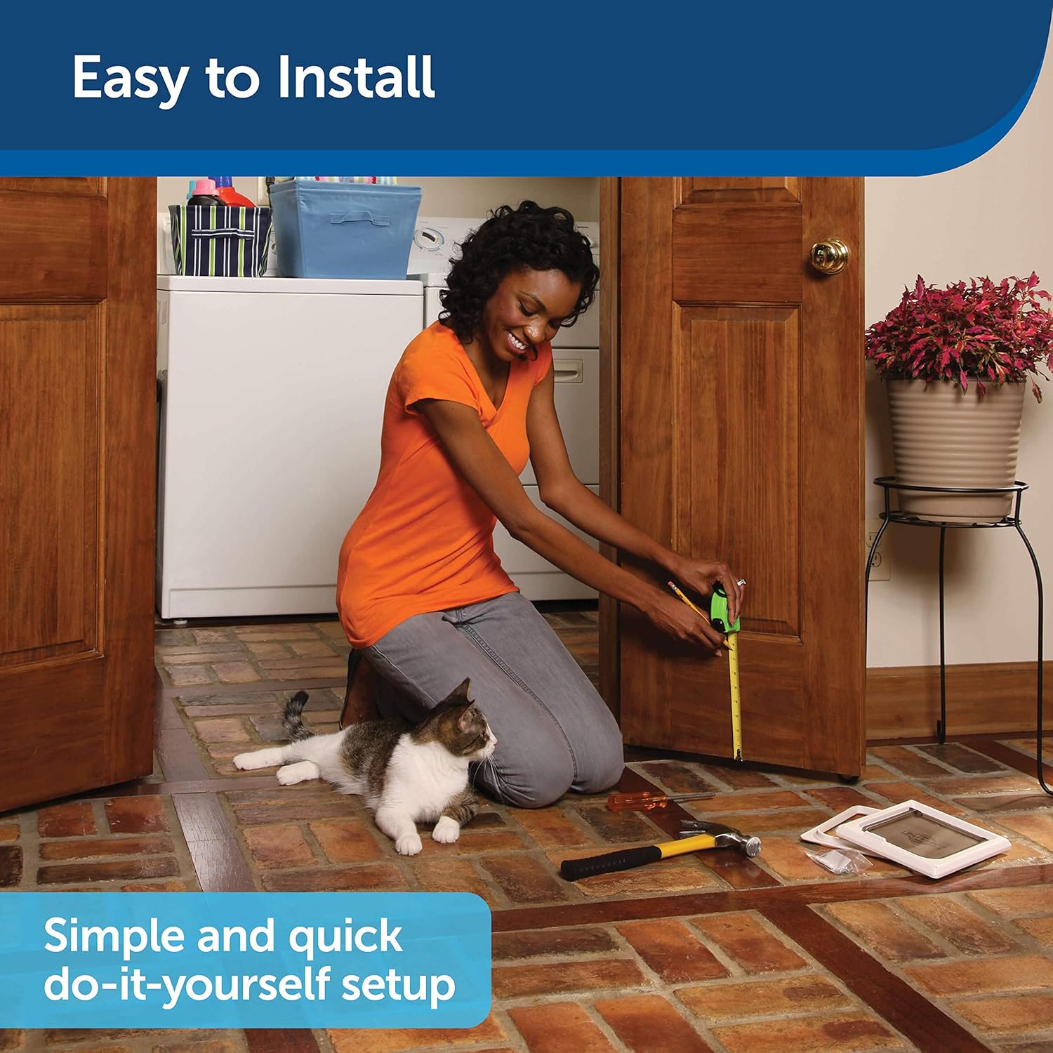 PetSafe Interior 2-Way Locking Cat Door - Indoor Pet Flap - Hides Litterbox or Food - DIY Installation : Pet Doors : Pet Supplies