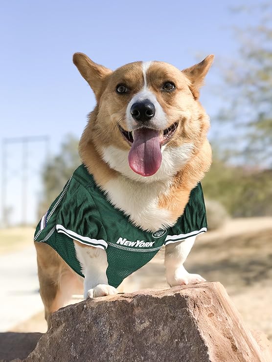dog jets jersey