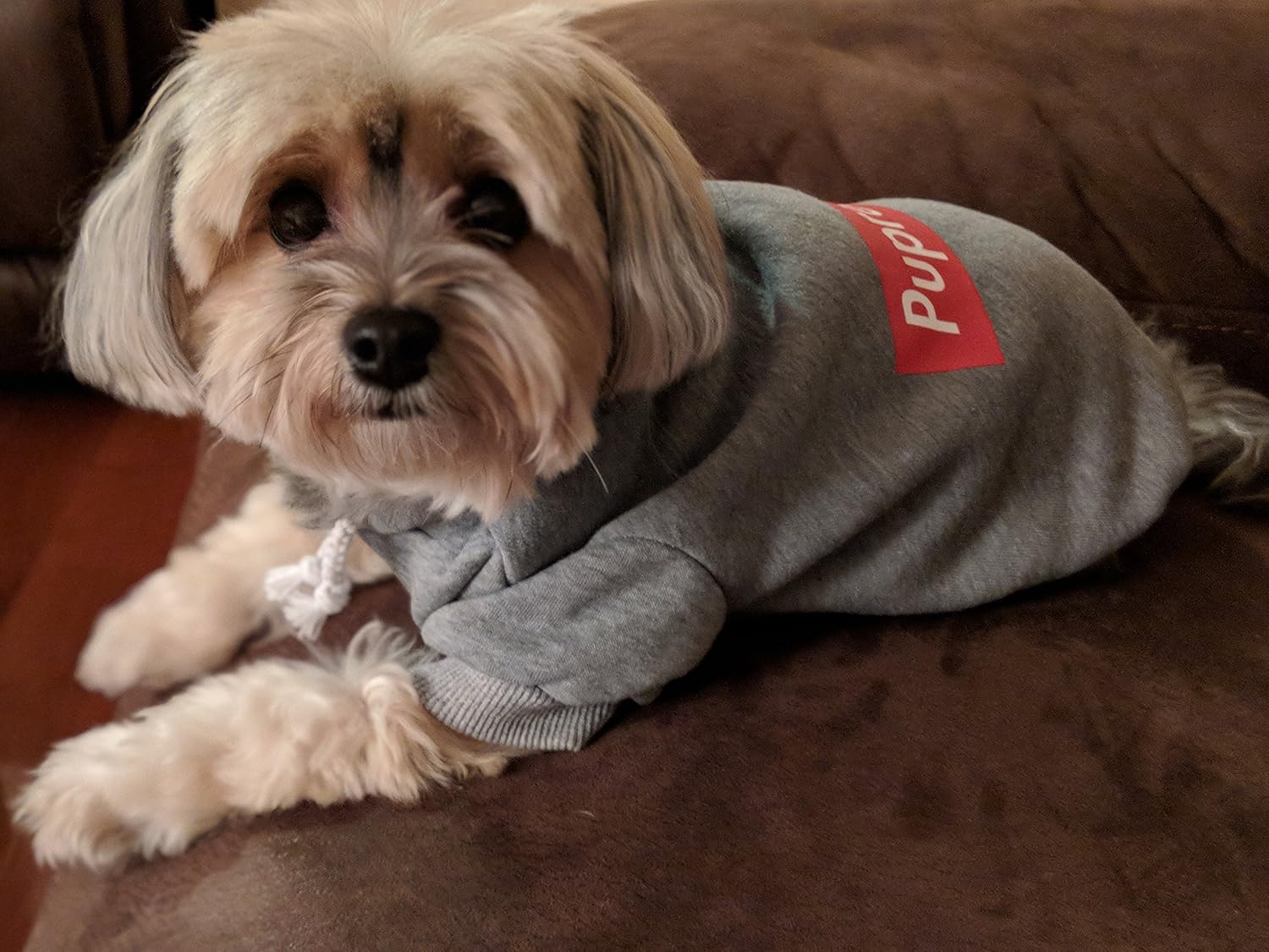 pupreme dog hoodie
