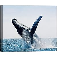 SIGNWIN Canvas Wall Art A Humpback Whale Doing Back Flip in The Blue Ocean Marine Life Wildlife Photography Realism Nautical Closeup Relax/Calm for Living Room, Bedroom, Office - 12x18 inches