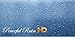 Peaceful Rain HD