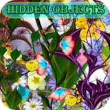 Hidden Objects The Secret of Spring