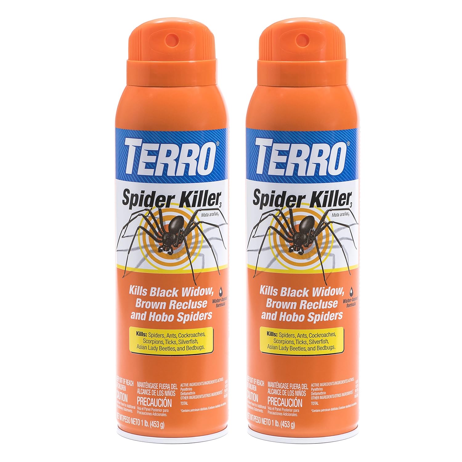 Brown Recluse spiders...how to get rid of them?