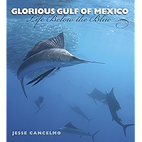 Glorious Gulf of Mexico: Life Below the Blue (Gulf Coast Books, sponsored by Texas A&M University-Corpus Christi Book 28… book cover Glorious Gulf of Mexico: Life Below the Blue (Gulf Coast Books, sponsored by Texas A&M University-Corpus Christi Book 28… book cover