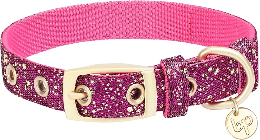 blueberry dog collars and leashes