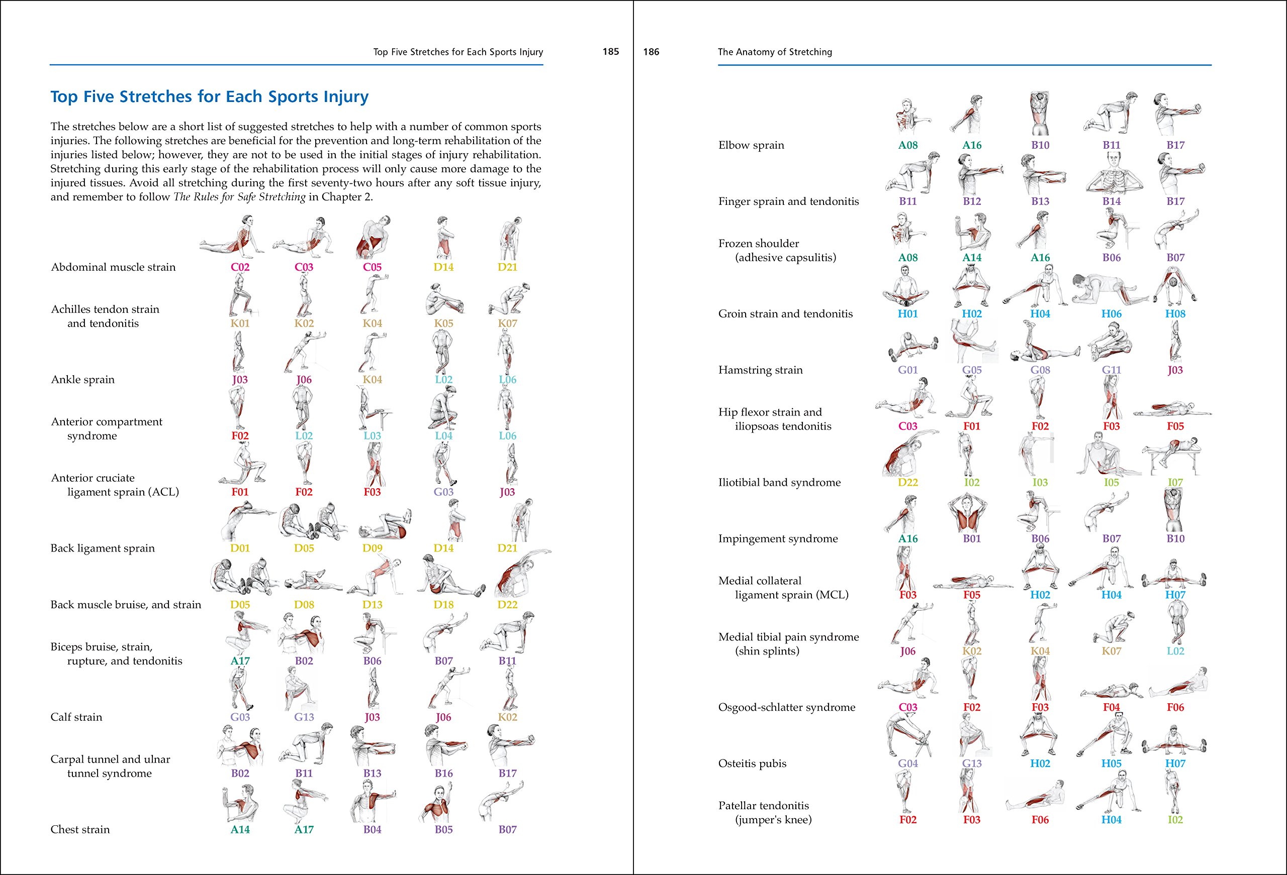 The Anatomy Of Stretching Second Edition Your Illustrated - 