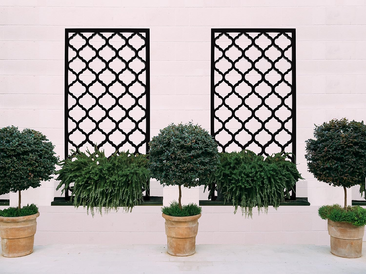 Envy Garden Trellis - Pantalla para Enrejado de jardín (120 x 60 ...