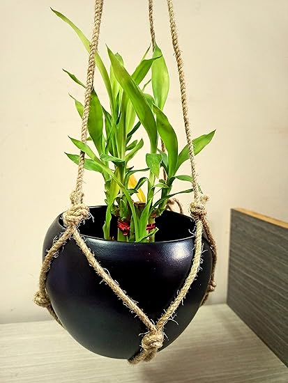 Decorations Cart Black Goblet Indoor and Balcony Home Decorative Metal Hanging Planters Pots with Jute Rope (Pack of 6)